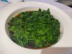 -圆苑(兴国路店)