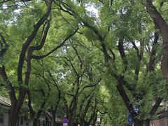 -北京国子监胡同