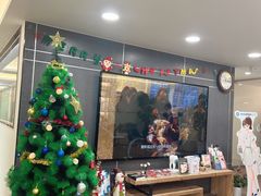 -Dr.Z dental仁康种植矫正中心