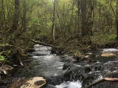 -叠溪松坪沟景区