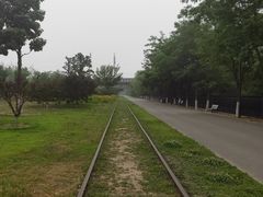 -永定河休闲森林公园