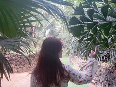-呀路古热带植物园