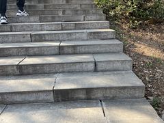 -太子山公园(园东路)
