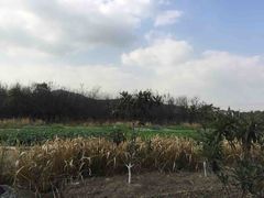 -呼吸森林·生态农庄农家乐私房菜