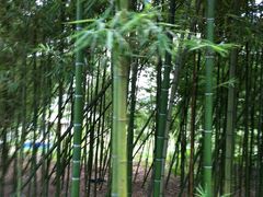 -溪口-滕头旅游景区