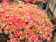 -循礼门鲜花花市(武汉循礼门店)