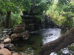 -老村长农家院