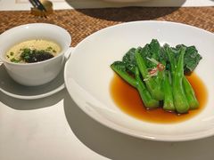 -觀芷隐轩