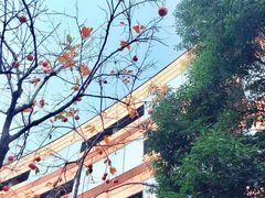 -上海衡山路十二号华邑酒店