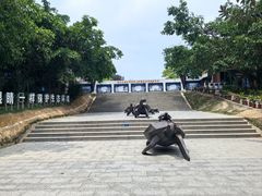-广东惠东海龟国家级自然保护区