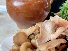 -蘑统田下·野生菌火锅