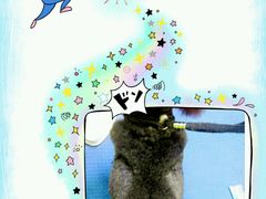 -瑞鹏宠物医院·骨科·猫科·内科(第一中心)