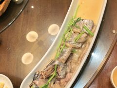 -崂山印象·青岛·海鲜渔家菜