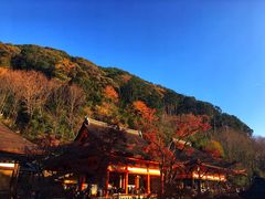 -有栖山 清光院 清水寺