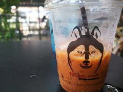 -TrueLove @ Neverland (Husky Cafe)