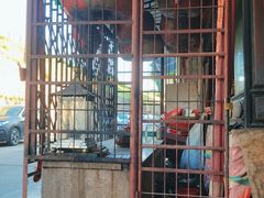 -老炳·七丛松甘草水果