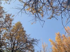 -西湖风景区十里琅珰-五云山