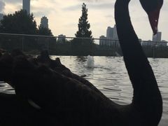 -行者书屋大堂吧 ·下午茶(南京圣和府邸酒店)