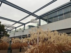 -得丘礼享谷·玉兰苑