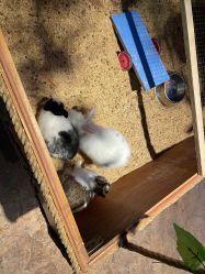 -酷嗒动物文化乐园(cutezoo西溪乐天城店)