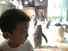 -大连圣亚海洋世界