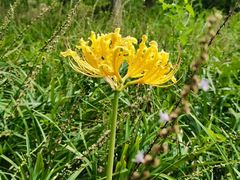 -白塘生态植物园