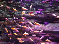 -多彩贵州城极地海洋世界