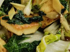 青菜烧豆腐-南阳食府·河南豫菜(南阳驻京办店)