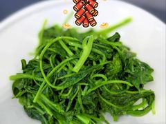 -曼格纳·曼芯馆(杨浦店)