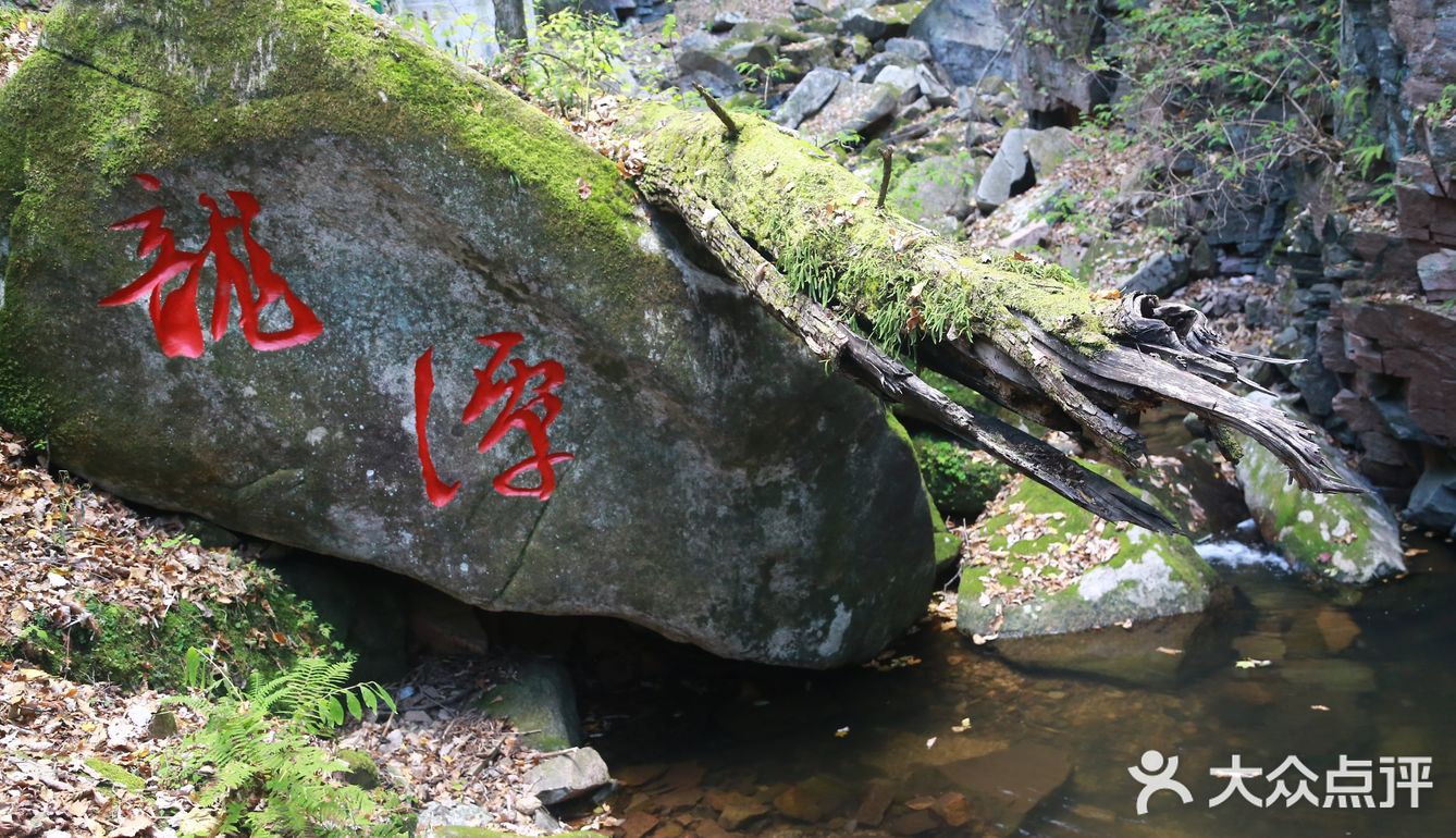 初见枫叶，并不满足