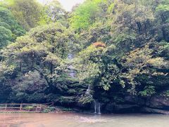 -碧峰峡风景区