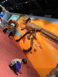 -北京科学中心儿童乐园