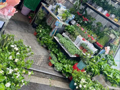 -循礼门鲜花花市(武汉循礼门店)