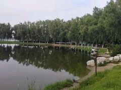 -大兴滨河森林公园