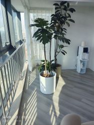 -HEYAN荷妍专业脱毛连锁机构