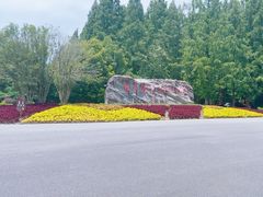 -东平国家森林公园