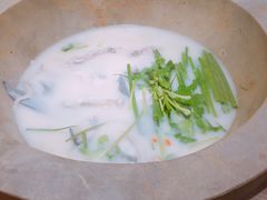 -鲜呦蒸汽石锅鱼(北辰路店)