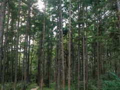 -长春市南湖公园