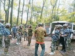 -铁山坪森林公园