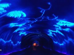 -牛背梁国家森林公园