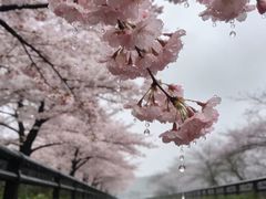 -龙湖杭州滨江天街