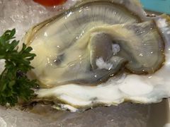 -探窝·竹笙椰子鸡(杨箕店)