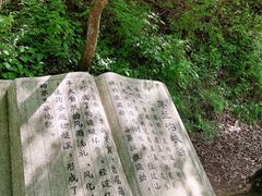 -茅兰沟国家森林公园