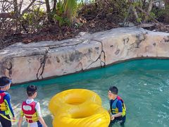 -亚马逊丛林水乐园