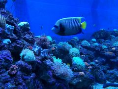 -成都浩海立方海洋公园