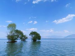 -大理洱海