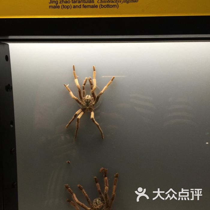 上海科技馆图片-北京科学博物-大众点评网