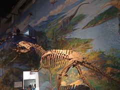 -自贡恐龙博物馆
