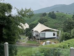 -帐篷客·溪龙茶谷度假酒店