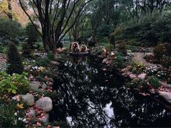 -上海共青森林公园